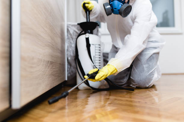 Best Best Pest Control Companies  in Mazomanie, WI