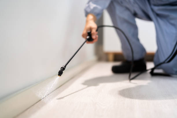 Best Pest Removal Services  in Mazomanie, WI
