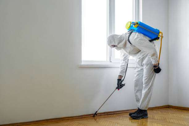 Reliable Mazomanie, WI Pest Control Solutions