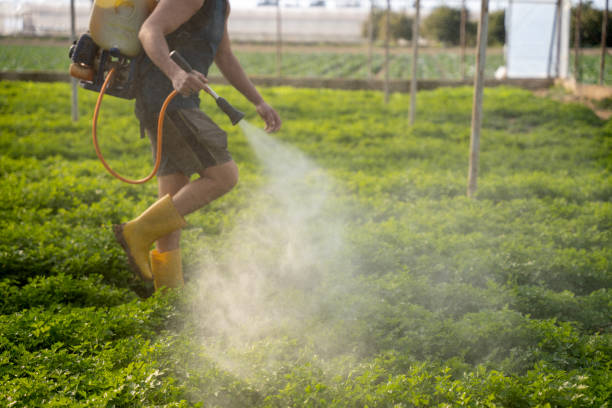 Best Best Pest Control Companies  in Mazomanie, WI