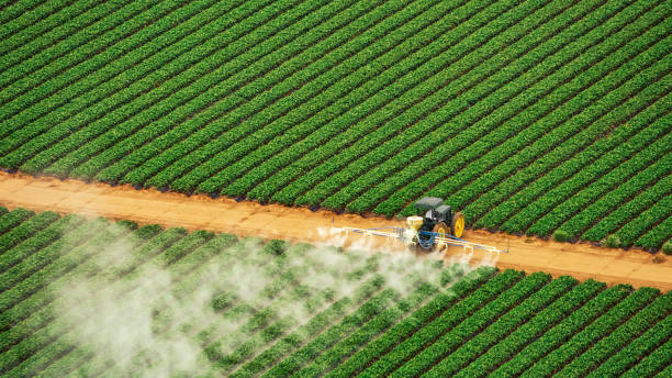 Best Pest Inspection Near Me  in Mazomanie, WI