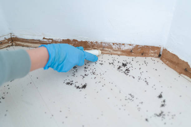 Best Pest Prevention Services  in Mazomanie, WI
